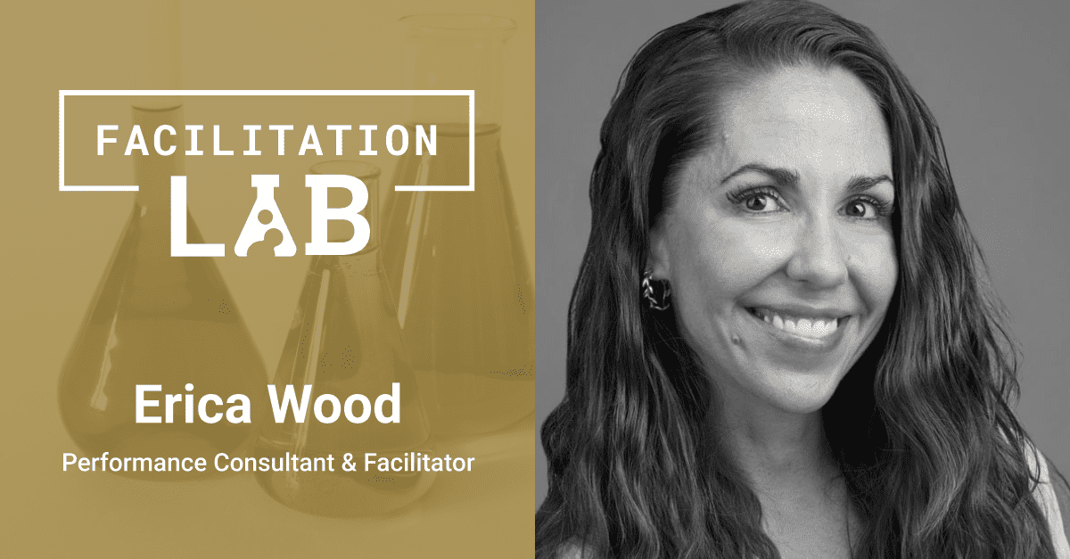 Facilitation Lab + Meetup + Voltage Control