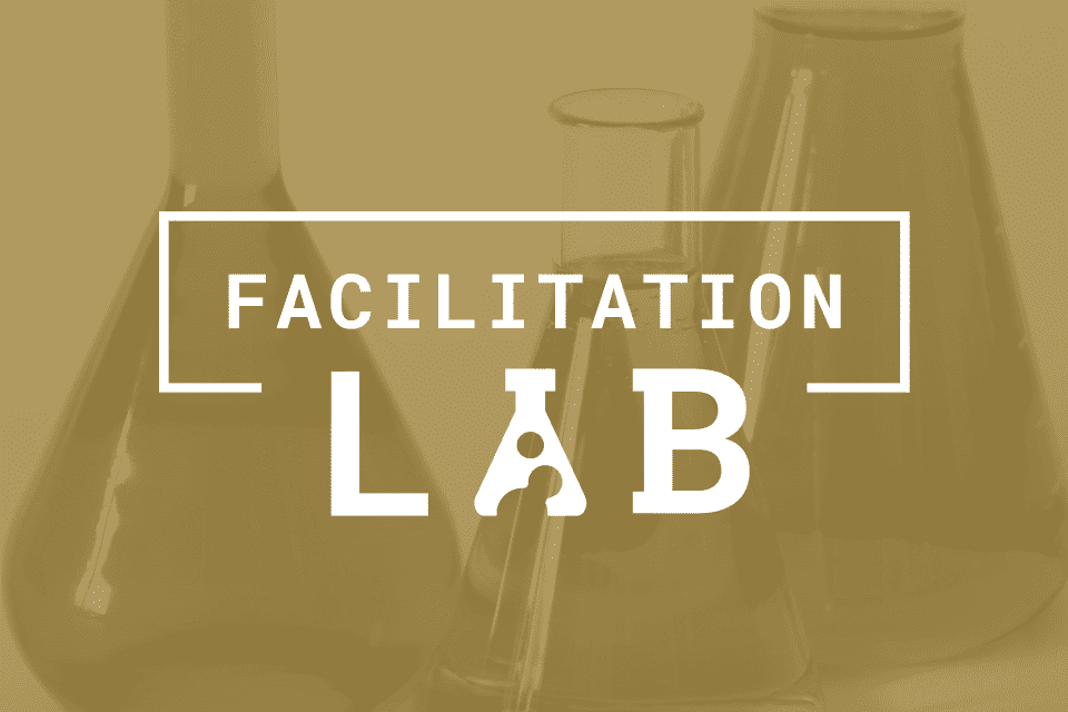 Facilitation Lab + Voltage Control